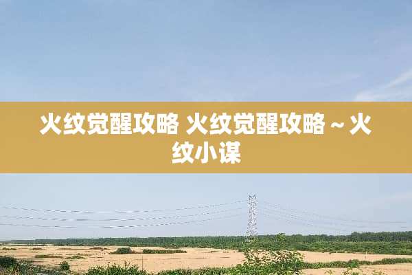 火纹觉醒攻略 火纹觉醒攻略～火纹小谋