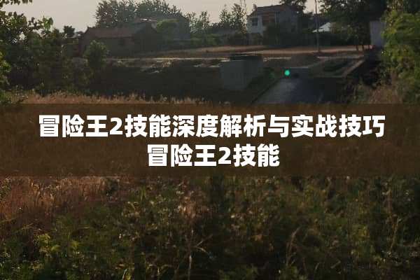 冒险王2技能深度解析与实战技巧 冒险王2技能