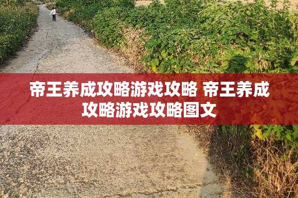 帝王养成攻略游戏攻略 帝王养成攻略游戏攻略图文