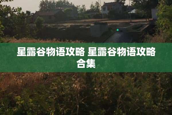 星露谷物语攻略 星露谷物语攻略合集