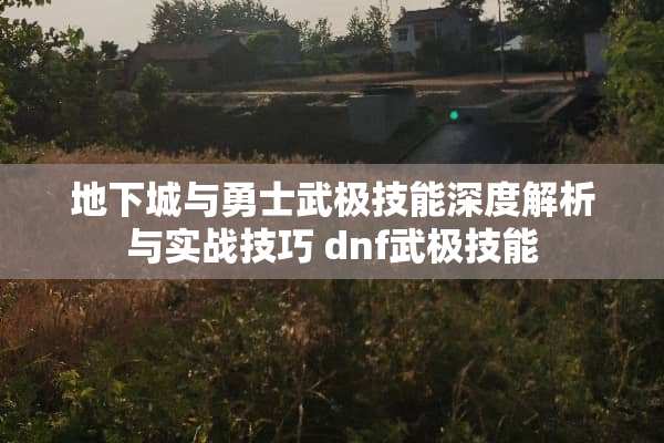 **城与勇士武极技能深度解析与实战技巧 dnf武极技能