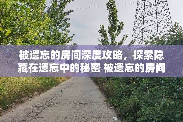 被遗忘的房间深度攻略，探索隐藏在遗忘中的秘密 被遗忘的房间攻略