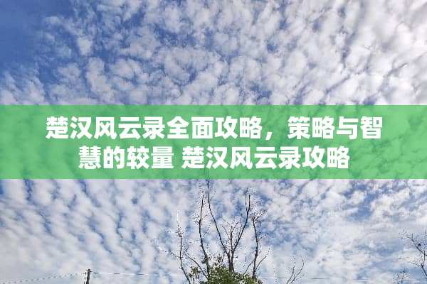 楚**云录全面攻略，策略与智慧的较量 楚**云录攻略