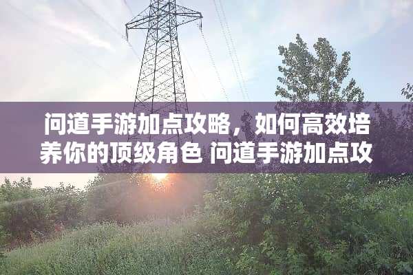 问道手游加点攻略，如何高效培养你的**角色 问道手游加点攻略