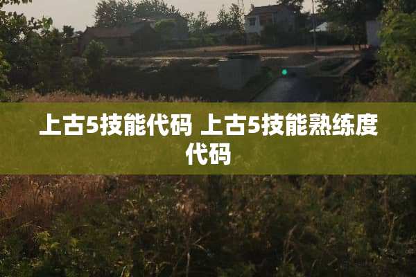 上古5技能代码 上古5技能熟练度代码