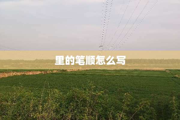 里的笔顺怎么写