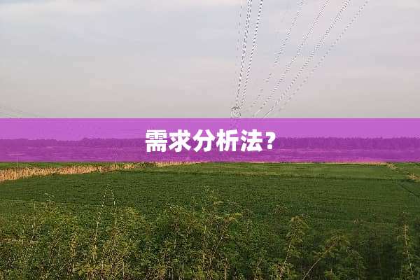 需求分析法？