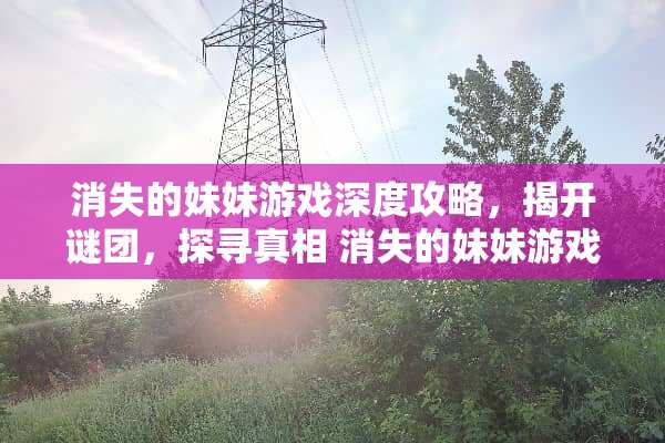 消失的妹妹游戏深度攻略，揭开谜团，探寻** 消失的妹妹游戏攻略