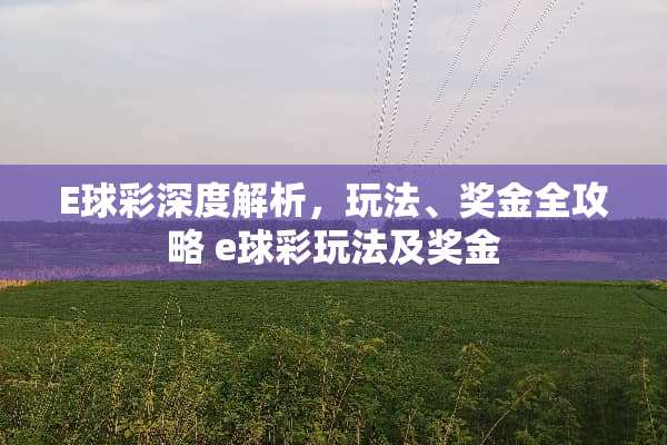 E球彩深度解析，玩法、奖金全攻略 e球彩玩法及奖金