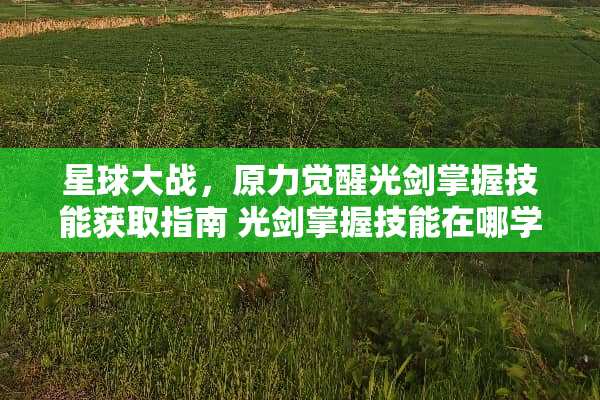 星球大战，原力觉醒光剑掌握技能获取指南 光剑掌握技能在哪学