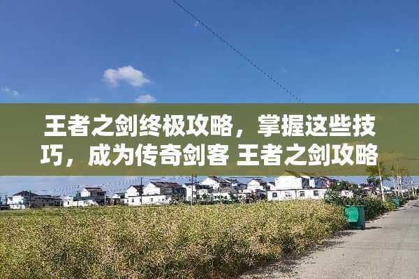 王者之剑终极攻略，掌握这些技巧，成为传奇剑客 王者之剑攻略