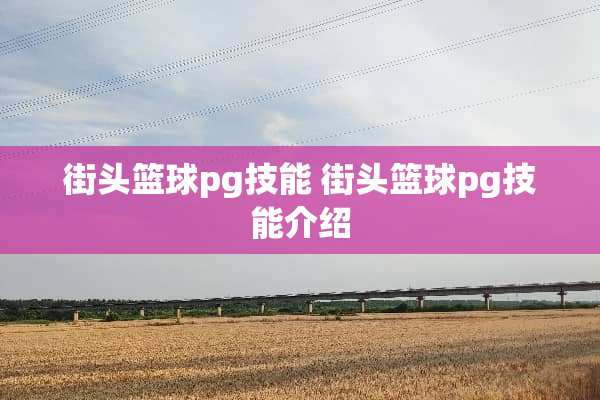 街头篮球pg技能 街头篮球pg技能介绍