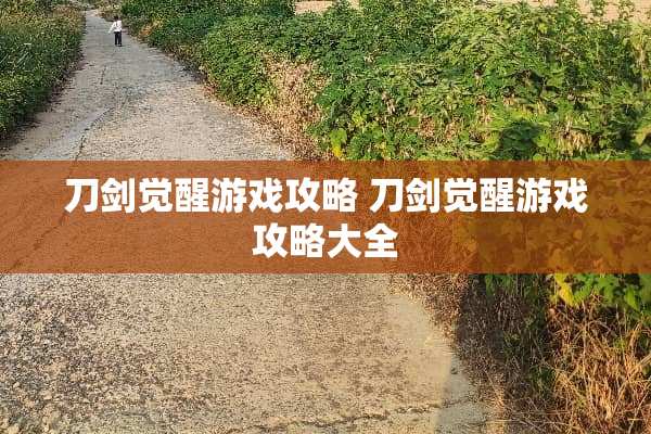 刀剑觉醒游戏攻略 刀剑觉醒游戏攻略大全