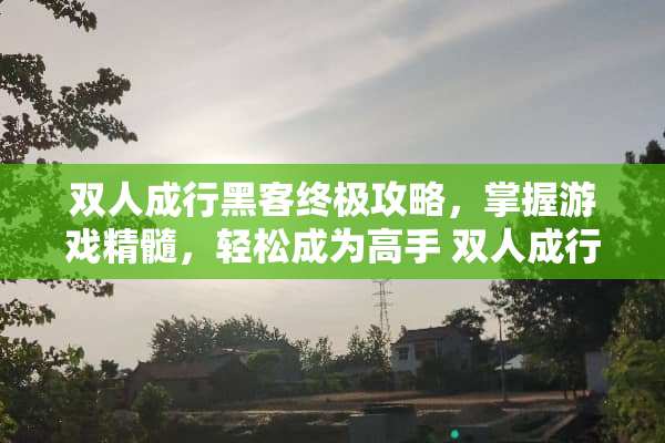 双人成行黑客终极攻略，掌握游戏精髓，轻松成为高手 双人成行黑客游戏攻略