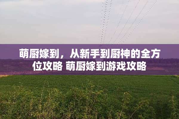 萌厨嫁到，从新手到厨神的全方位攻略 萌厨嫁到游戏攻略
