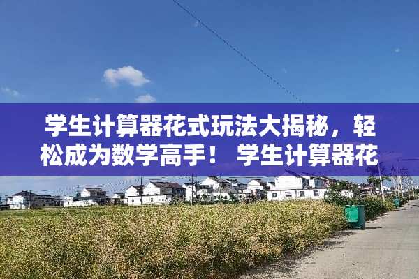 学生计算器花式玩法大揭秘，轻松成为数学高手！ 学生计算器花式玩法