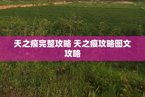 天之痕完整攻略 天之痕攻略图文攻略
