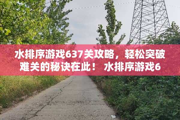 水排序游戏637关攻略，轻松突破难关的秘诀在此！ 水排序游戏637关攻略