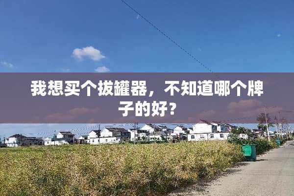 我想买个拔罐器，不知道哪个牌子的好？