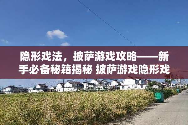 **戏法，披萨游戏攻略——新手必备秘籍揭秘 披萨游戏**戏法攻略