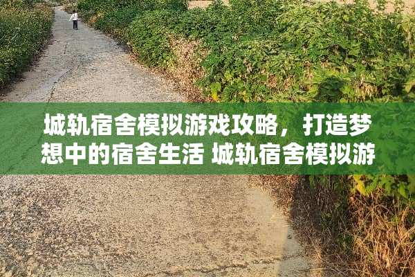 城轨宿舍模拟游戏攻略，打造梦想中的宿舍生活 城轨宿舍模拟游戏攻略