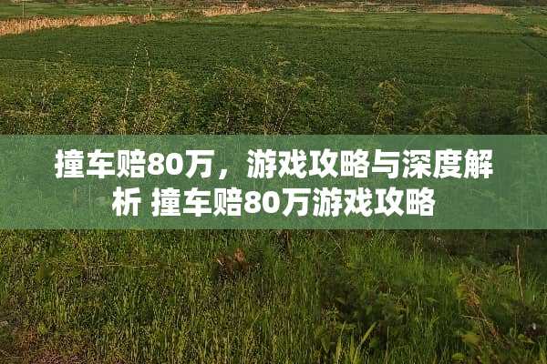 撞车赔80万，游戏攻略与深度解析 撞车赔80万游戏攻略