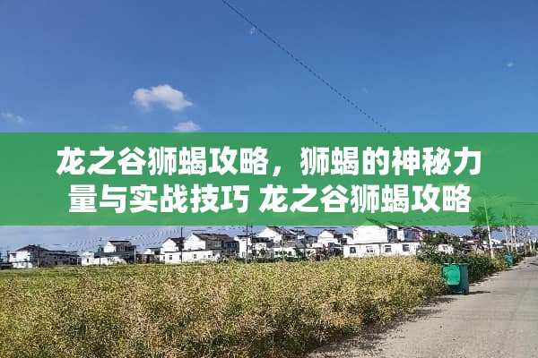 龙之谷狮蝎攻略，狮蝎的神秘力量与实战技巧 龙之谷狮蝎攻略