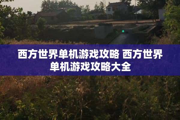 西方世界单机游戏攻略 西方世界单机游戏攻略大全