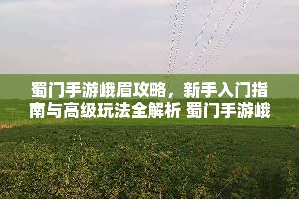 蜀门手游峨眉攻略，新手入门指南与高级玩法全解析 蜀门手游峨眉攻略
