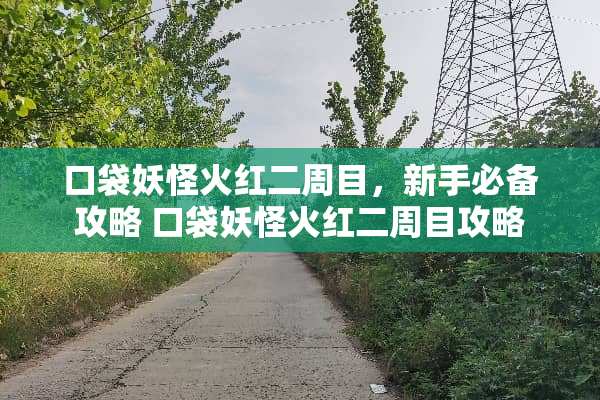 口袋妖怪火红二周目，新手必备攻略 口袋妖怪火红二周目攻略
