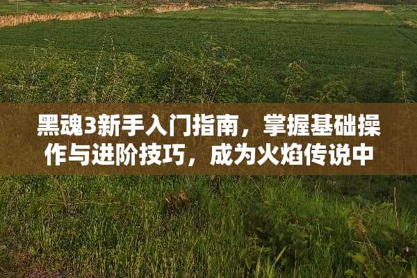 黑魂3新手入门指南，掌握基础操作与进阶技巧，成为火焰传说中的勇者 黑魂3新手攻略