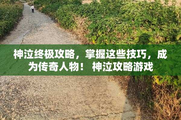 神泣终极攻略，掌握这些技巧，成为传奇人物！ 神泣攻略游戏