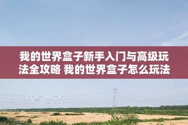 我的世界盒子新手入门与高级玩法全攻略 我的世界盒子怎么玩法
