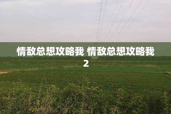 情敌总想攻略我 情敌总想攻略我2