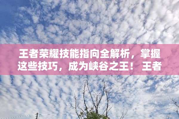 王者荣耀技能指向全解析，掌握这些技巧，成为峡谷之王！ 王者荣耀技能指向