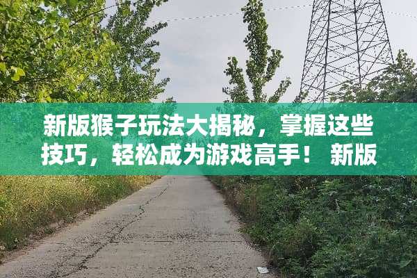 新版猴子玩法大揭秘，掌握这些技巧，轻松成为游戏高手！ 新版猴子玩法技巧