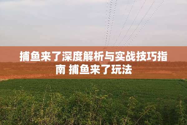 捕鱼来了深度解析与实战技巧指南 捕鱼来了玩法