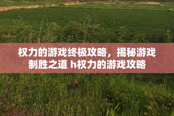 权力的游戏终极攻略，揭秘游戏制胜之道 h权力的游戏攻略