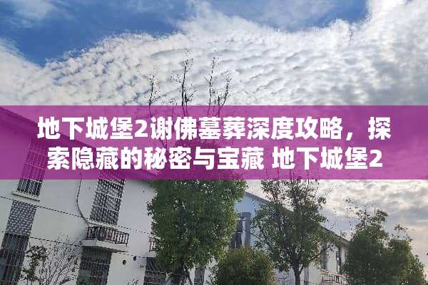 **城堡2谢佛墓葬深度攻略，探索隐藏的秘密与宝藏 **城堡2谢佛墓葬攻略