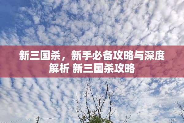 新三国杀，新手必备攻略与深度解析 新三国杀攻略