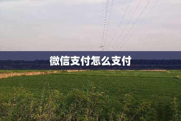 微信支付怎么支付