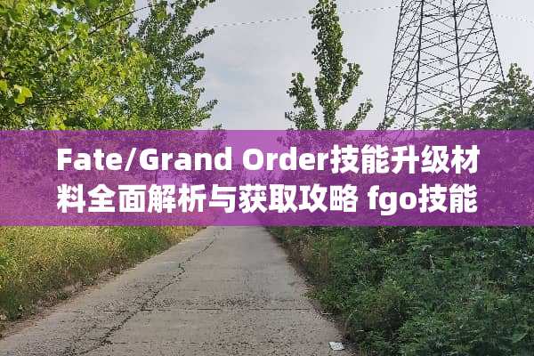 Fate/Grand Order技能升级材料全面解析与获取攻略 fgo技能升级材料