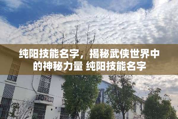 纯阳技能名字，揭秘武侠世界中的神秘力量 纯阳技能名字