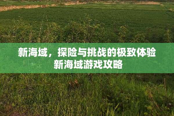 新海域，探险与挑战的极致体验 新海域游戏攻略