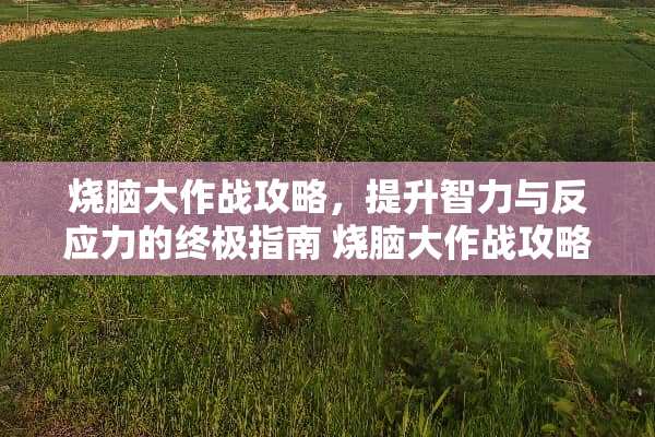 烧脑大作战攻略，提升智力与反应力的终极指南 烧脑大作战攻略