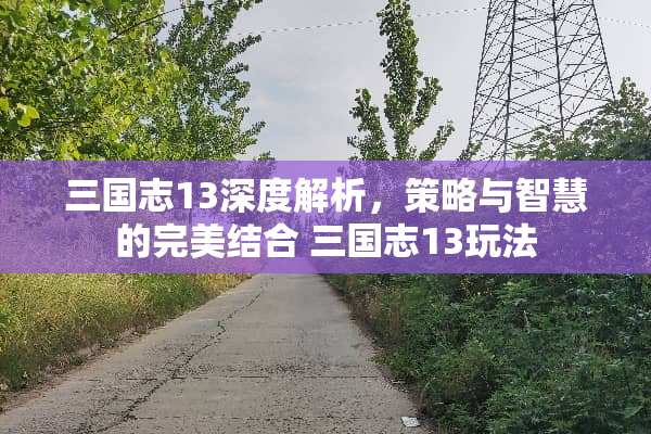三国志13深度解析，策略与智慧的完美结合 三国志13玩法