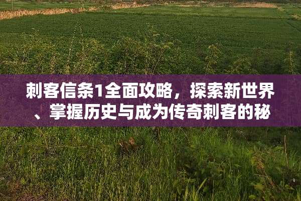 刺客信条1全面攻略，探索新世界、掌握历史与成为传奇刺客的秘诀 刺客信条1攻略