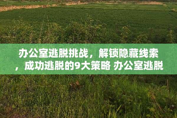 办公室逃脱挑战，解锁隐藏线索，成功逃脱的9大策略 办公室逃脱攻略
