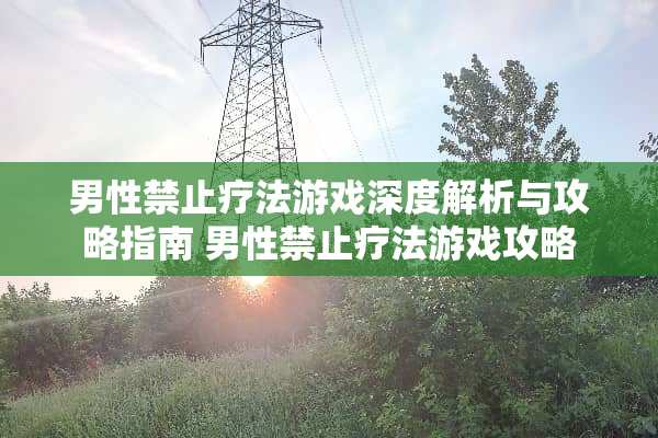 男性禁止疗法游戏深度解析与攻略指南 男性禁止疗法游戏攻略