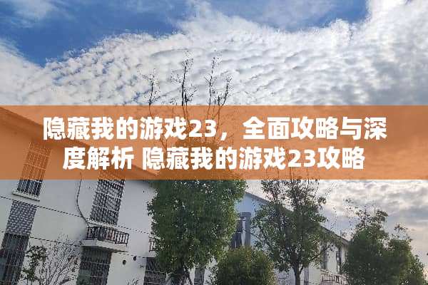 隐藏我的游戏23，全面攻略与深度解析 隐藏我的游戏23攻略